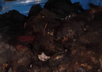 OBAJANA MULTIPLE CRASH:  BIU MANDATES THOROUGH INVESTIGATION AND PROSECUTION 