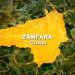 Strange Ailment Kills 4 in Zamfara, 77 Cases Detected
