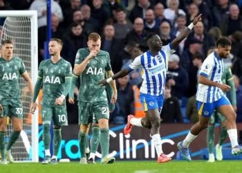 Tottenham Wobble As Brighton Rally Back In Premier League Win