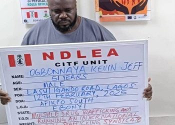 NDLEA Cracks Down on Fugitive Drug Lord After 17-Year Chase