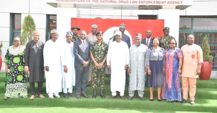 NYSC, NDLEA Forge Partnership to Enhance Counselling and Rehabilitation Efforts