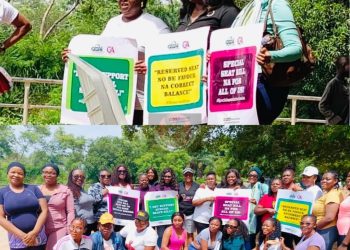 Women Journalists Renew Push for Special Seats Bill to Boost Female Political Representation in Nigeria