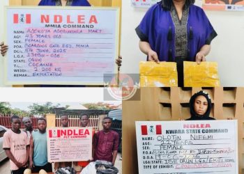 NDLEA Arrests Make-Up Artist Attempting to Smuggle Cocaine to India, Intercepts Drugs Bound for Australia, Bahrain and More in Nationwide Raids