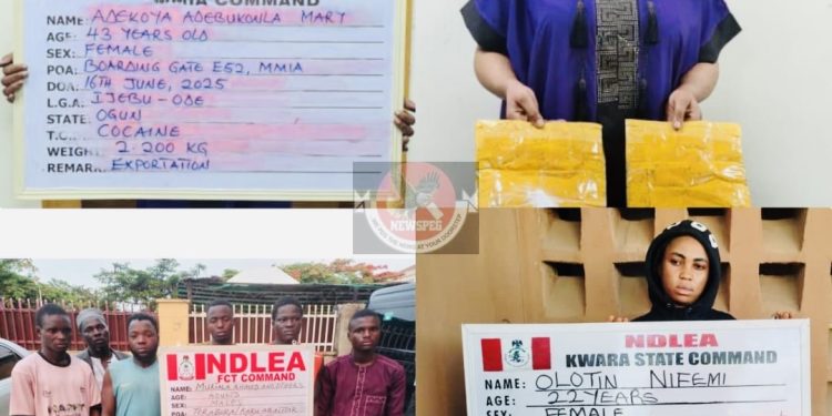 NDLEA Arrests Make-Up Artist Attempting to Smuggle Cocaine to India, Intercepts Drugs Bound for Australia, Bahrain and More in Nationwide Raids