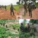 Troops Raid Bandit Camps in Southern Taraba, Recover Ammunition and Destroy Criminal Hideouts