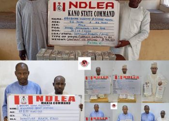 NDLEA Busts Hajj Drug Cartel, Intercepts Cocaine, Opioids and Counterfeit Dollars in Nationwide Crackdown