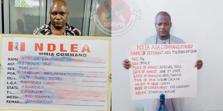 NDLEA Bursts International Drug Rings, Arrests Ex-Footballer, Europe-Based Smugglers in Major Airport Raids