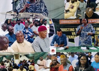 SON, Roofing Industry Stakeholders Partner to Raise Standards, Promote Local Content