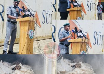 Customs Wildlife Office Records Major Gains in Crackdown on Trafficking, Seizes Over 10,000 Donkey Genitals, 220 Live Endangered Animals in Six Months