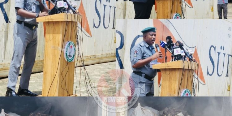 Customs Wildlife Office Records Major Gains in Crackdown on Trafficking, Seizes Over 10,000 Donkey Genitals, 220 Live Endangered Animals in Six Months