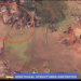 NAF Strike on ISWAP Enclave Disrupts Terrorist Command, Kills Key Leaders in Borno