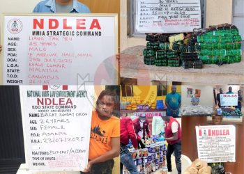 Chinese Businessman, 80-Year-Old Grandma Arrested as NDLEA Busts Drug Rings Across Nigeria