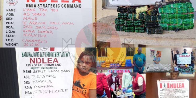 Chinese Businessman, 80-Year-Old Grandma Arrested as NDLEA Busts Drug Rings Across Nigeria