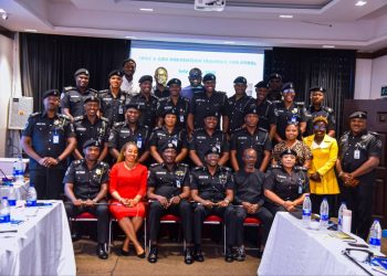 Nigeria Police Partners CLEEN Foundation to Train PPROs on Behavioural Change and GBV Prevention