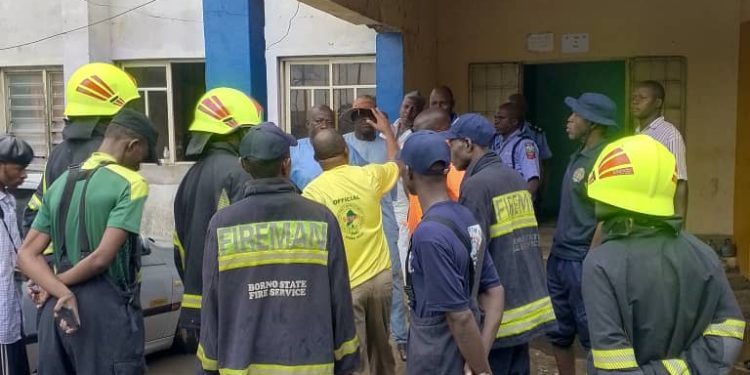NEMA Swiftly Responds to Flash Floods in Maiduguri and Jere LGAs, Assures Continued Surveillance