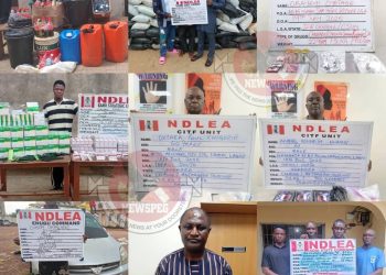 NDLEA Nabs Elusive Drug Kingpin, Makes Nationwide Seizures in Sweeping Anti-Narcotics Operations