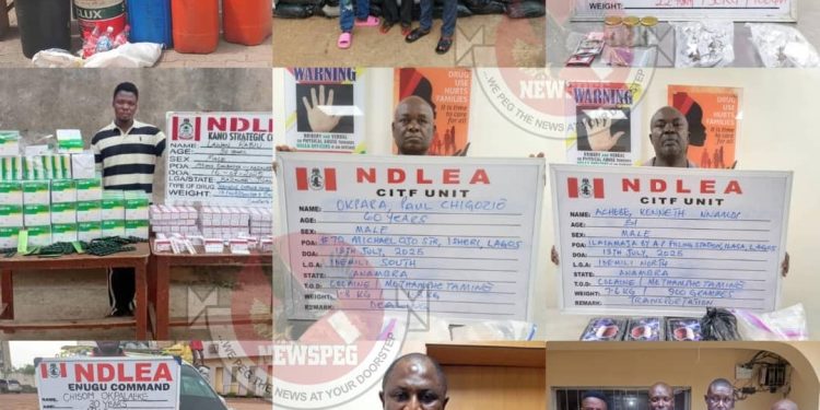 NDLEA Nabs Elusive Drug Kingpin, Makes Nationwide Seizures in Sweeping Anti-Narcotics Operations