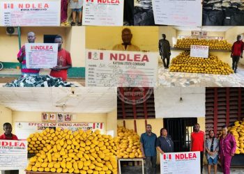 NDLEA Intercepts Cocaine in Lipsticks, Nabs Drug Kingpins and Dismantles Networks Nationwide