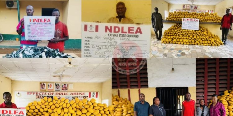 NDLEA Intercepts Cocaine in Lipsticks, Nabs Drug Kingpins and Dismantles Networks Nationwide