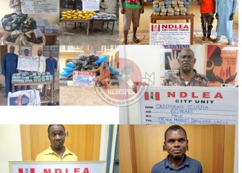 NDLEA Foils International Drug Smuggling Plots, Arrests Kingpin and Seizes Over 28,000kg of Narcotics Nationwide