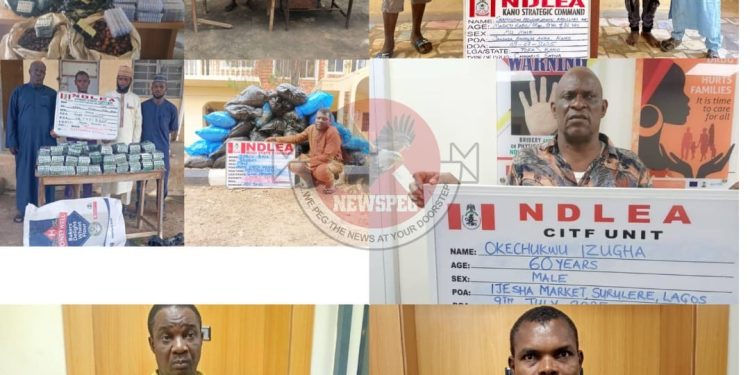 NDLEA Foils International Drug Smuggling Plots, Arrests Kingpin and Seizes Over 28,000kg of Narcotics Nationwide
