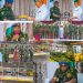 Akwa Ibom’s Land Donation for New Air Force Base Marks Bold Step in Strengthening South-South Security — CAS