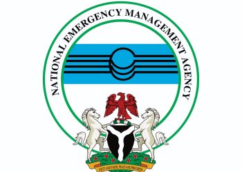 Relief Operations Continue in Potiskum as Floodwaters Recede and Assessments Deepen