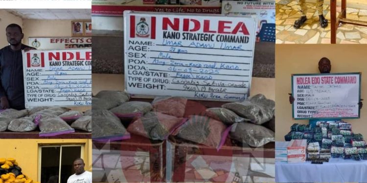 NDLEA Arrests Lagos Prophet for Masterminding Illicit Drug Shipments from Ghana