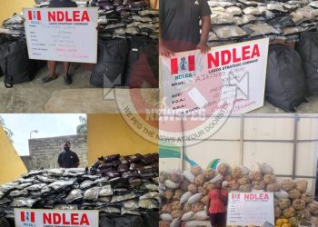 NDLEA Nets Major Victory as Two Drug Kingpins Jailed 