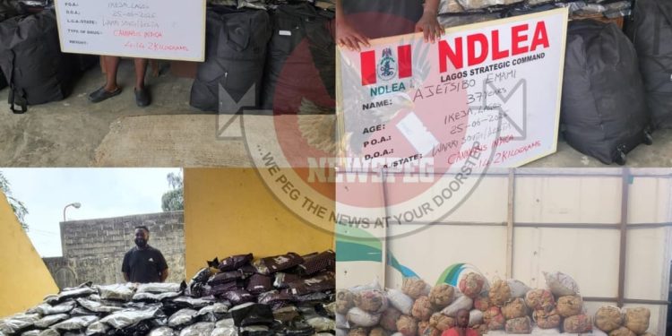 NDLEA Nets Major Victory as Two Drug Kingpins Jailed 