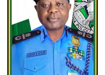 Ogun by-election: Police arrest 10 suspected cultists hired by honorable member to disrupt election