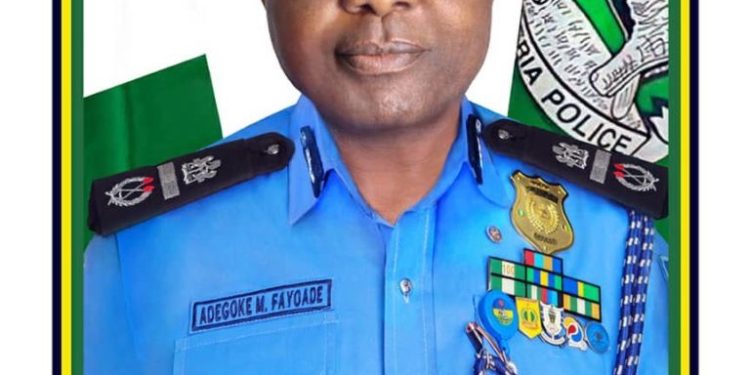 Ogun by-election: Police arrest 10 suspected cultists hired by honorable member to disrupt election