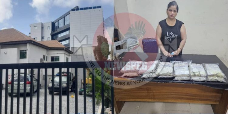 NDLEA Secures String of Convictions, Multi-Billion Naira Asset Forfeitures in Nationwide Crackdown on Drug Cartels