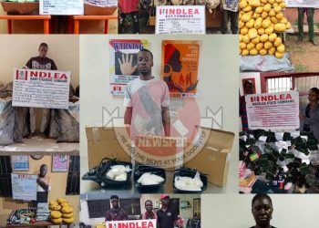NDLEA Intercepts Cocaine, Tramadol Hidden in Vehicle Mirrors at Lagos Airport, Bursts Nationwide Drug Networks