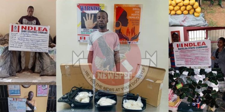 NDLEA Intercepts Cocaine, Tramadol Hidden in Vehicle Mirrors at Lagos Airport, Bursts Nationwide Drug Networks