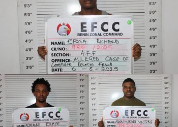 Three Internet Fraudsters Convicted, Jailed in Benin