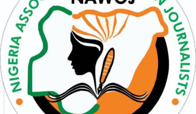 NAWOJ Zone D Urges Urgent Security Reforms, Flood Control, and Educational Support for Displaced Children in North Central