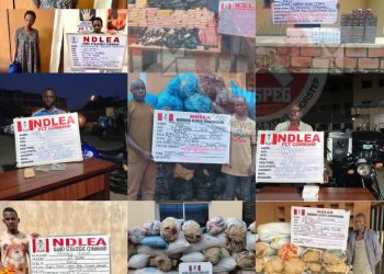 Fake Pregnancy Plot Uncovered as NDLEA Arrests Widow with Cocaine in Lagos