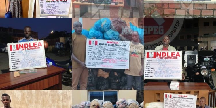 Fake Pregnancy Plot Uncovered as NDLEA Arrests Widow with Cocaine in Lagos