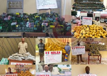 NDLEA Storms Drug Networks: Kingpin Arrested, ₦8bn Worth of Narcotics Seized Across Nigeria