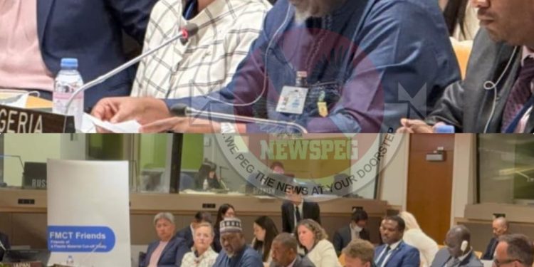 Nigeria Calls for Urgent Global Action to Halt Production of Fissile Material