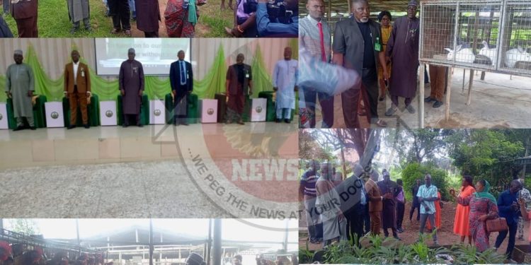 ARCN Boss Charges Agricultural Colleges, Research Institutes in Ibadan to Deepen Innovation and Training