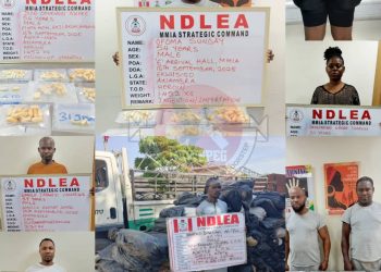 Brazil Returnees, Businesswoman Nabbed as NDLEA Seizes Heroin, Cocaine, Meth, Skunk, Opioids Nationwide
