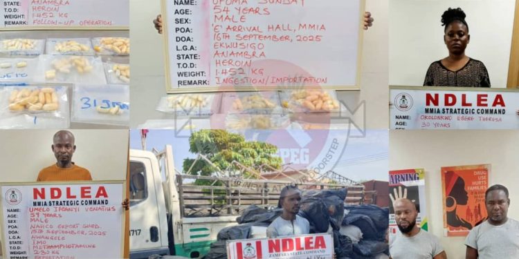 Brazil Returnees, Businesswoman Nabbed as NDLEA Seizes Heroin, Cocaine, Meth, Skunk, Opioids Nationwide