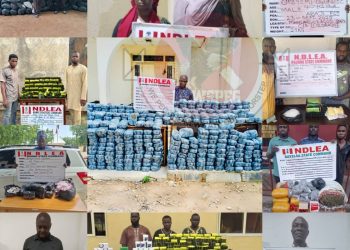 NDLEA Arrests Two Drug Kingpins in Lagos, Intercepts Bandits’ Suppliers in Borno, Yobe, Destroys 24,146kg Skunk in Edo Forests
