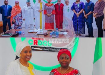 Presidency, NiDCOM Forge Strategic Partnership to Harness Diaspora Potential for National Development