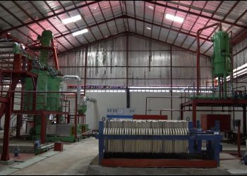 Kwara to unveil Nigeria’s largest state-owned Shea butter factory