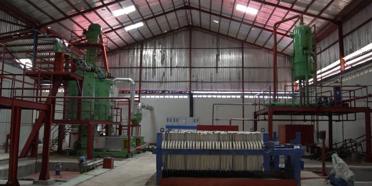 Kwara to unveil Nigeria’s largest state-owned Shea butter factory