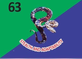 Nigerian Army Dismantles Abduction Plot, Rescues Officer Alive in Delta