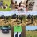 Operation Fasan Yamma Intercepts Terrorist Logistics, Rescues Victims and Neutralises Terrorists in Zamfara, Sokoto